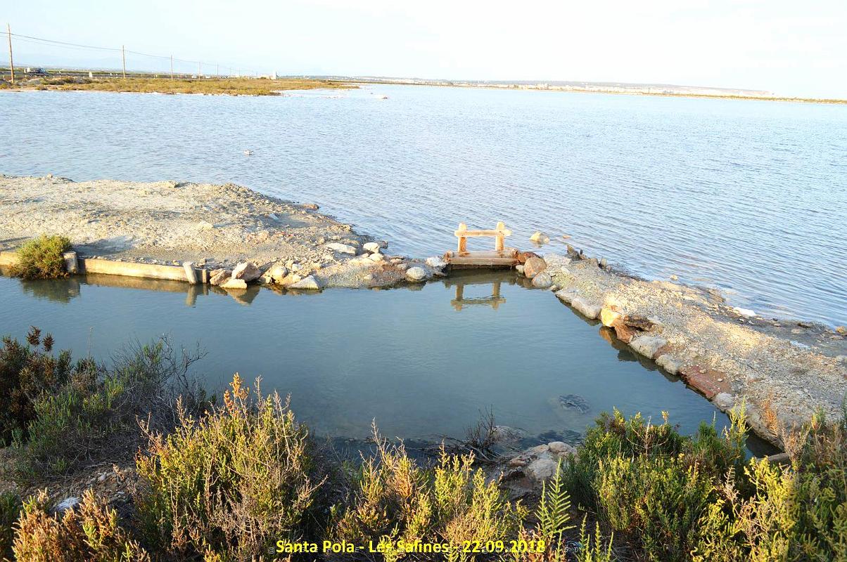 33 SANTA POLA LES SALINES (29).JPG